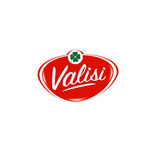 Valisi logo